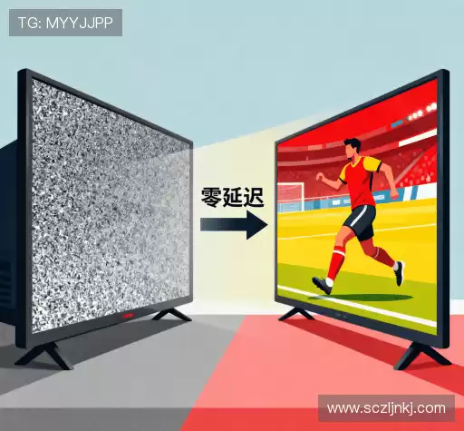 为什么选择我们